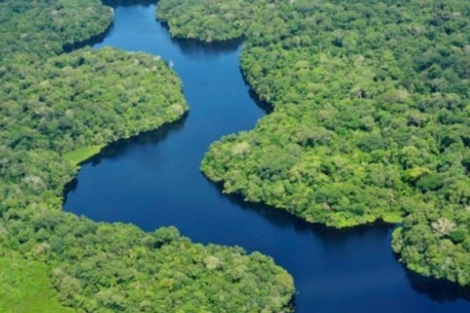 Resistência da Amazônia ao estresse térmico pode estar debititada