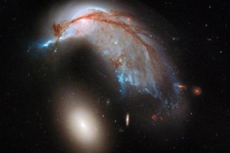 Hubble fotografa pinguim no espaço