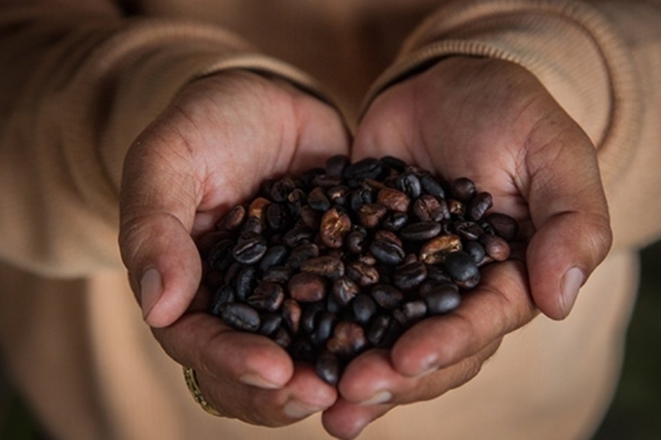 Empresa oferece entrega de café por assinatura para startups