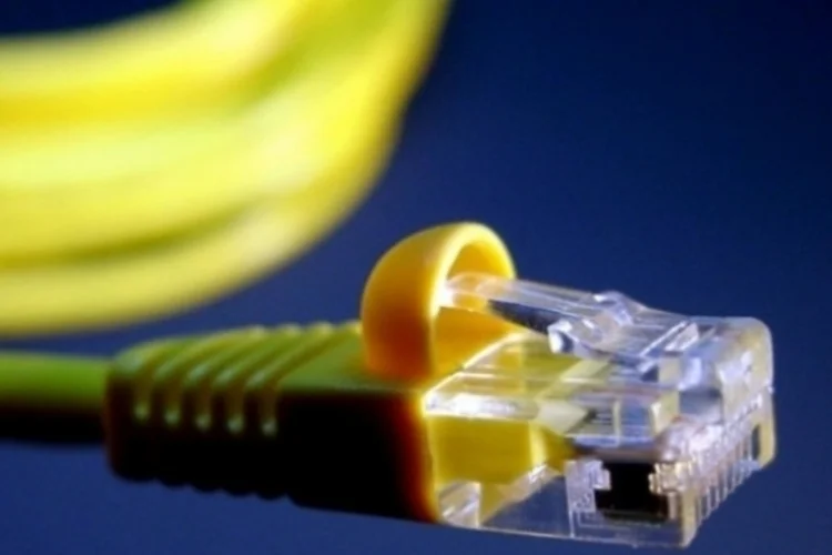 fibra (Reprodução)