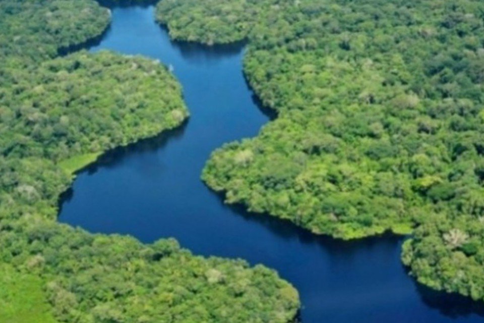 Levantamento mapeia impostos de madeira da Amazônia