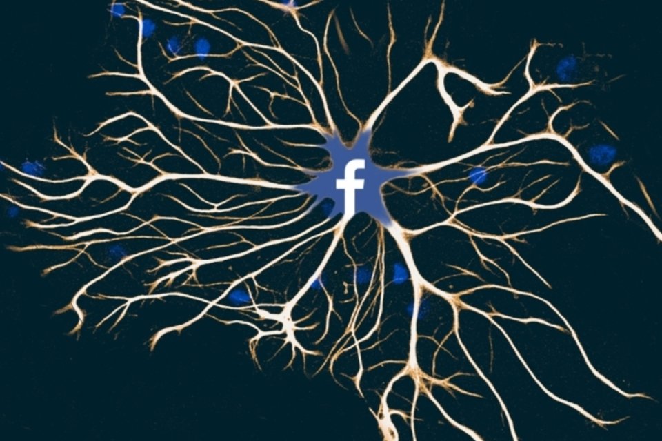 Ligações de neurônios funcionam como amigos no Facebook, diz estudo