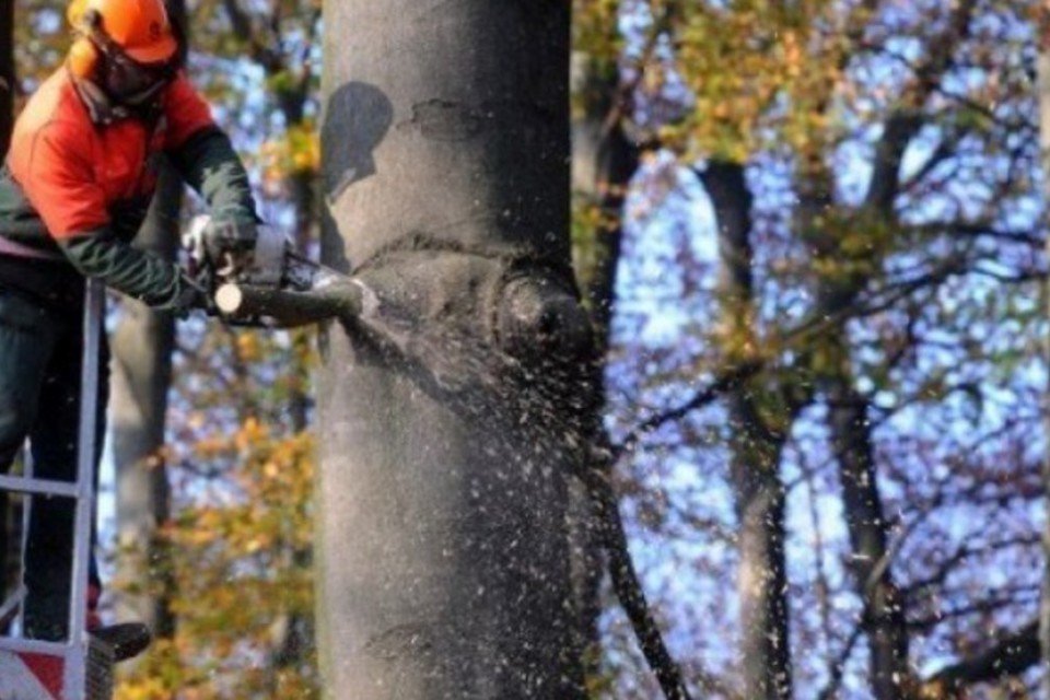 Terra entra no vermelho em termos de 'dívida ecológica'