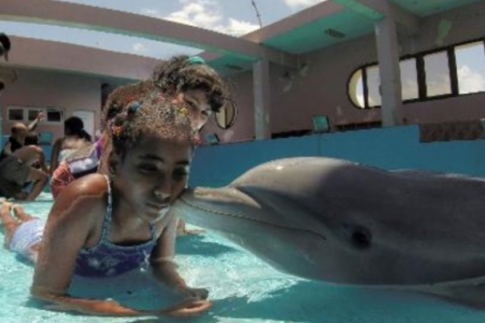 Golfinhos melhoram a vida de crianças deficientes em Cuba