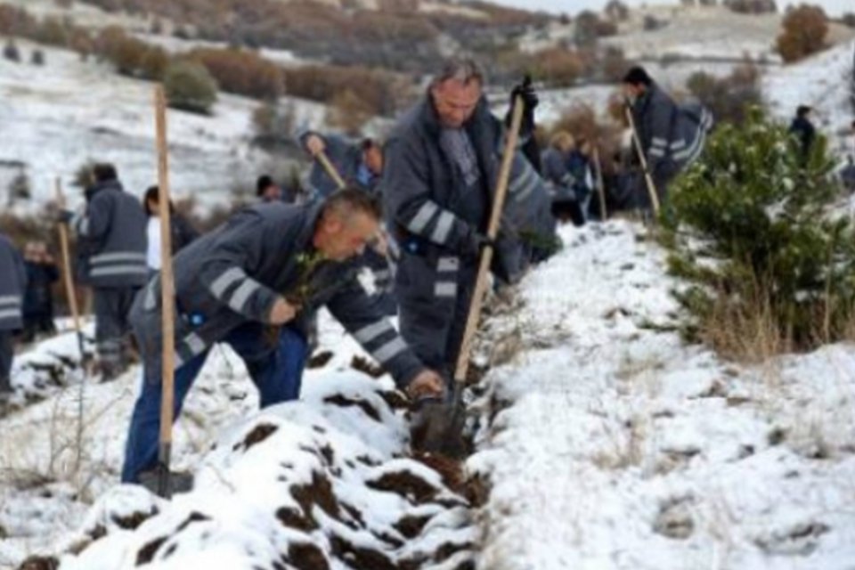 Macedônios plantam 5 milhões de árvores