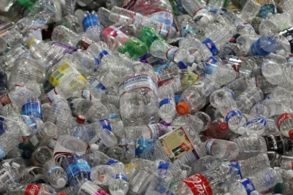 Exposição a produtos químicos presentes no plástico pode reduzir QI, diz pesquisa