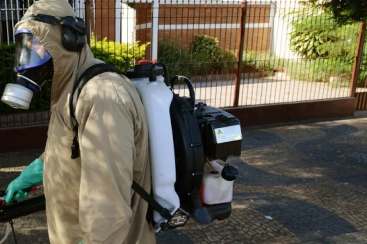 dengue (Carlos Bassan)