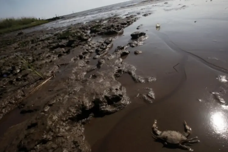 Derramamento de petróleo (Getty Images)