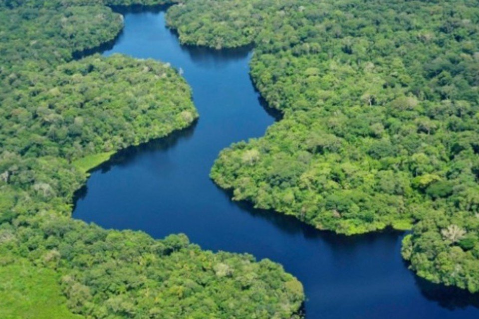 Desmatamento da Amazônia foi cinco vezes maior em maio