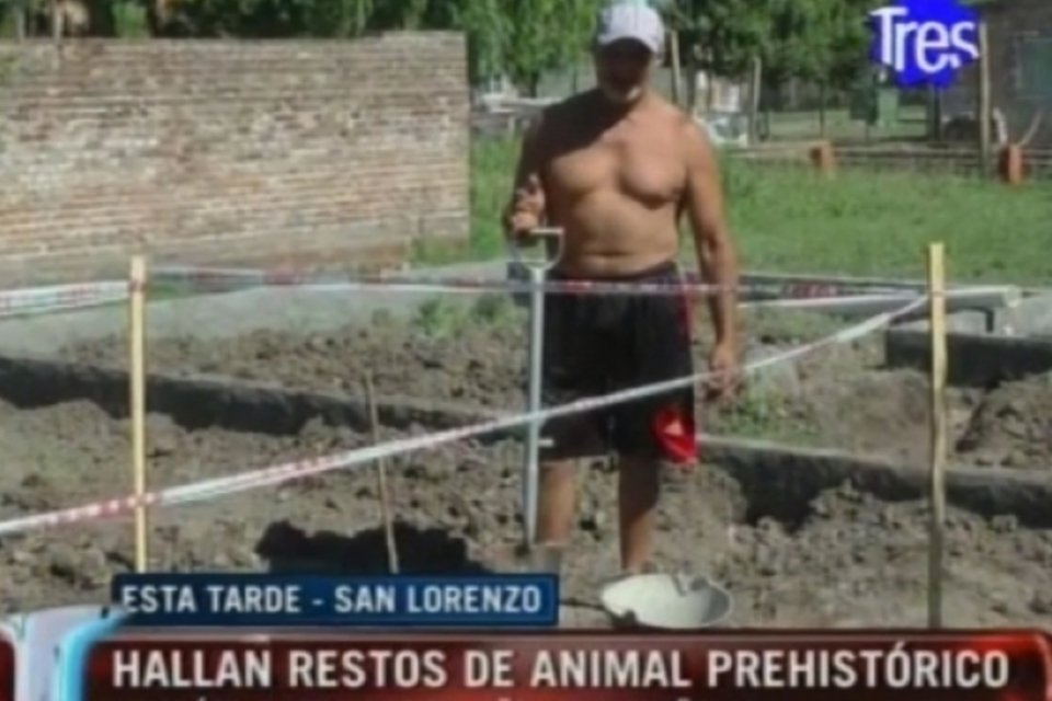 Argentino encontra ossos de mastodonte ao cavar poço em seu jardim