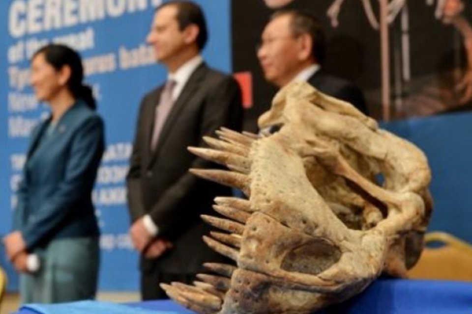 EUA devolvem esqueletos de dinossauros roubados para Mongólia