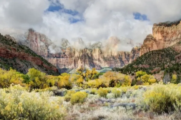 Zion National Park (Wikimedia Commons)