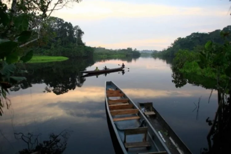 Amazônia (EFE)