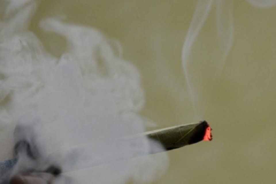 Washington aprova posse e cultivo de maconha