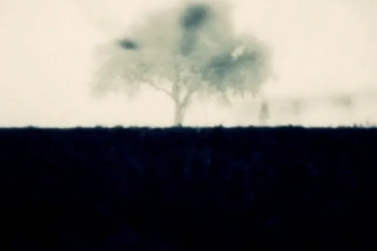 ambiance (Reprodução)