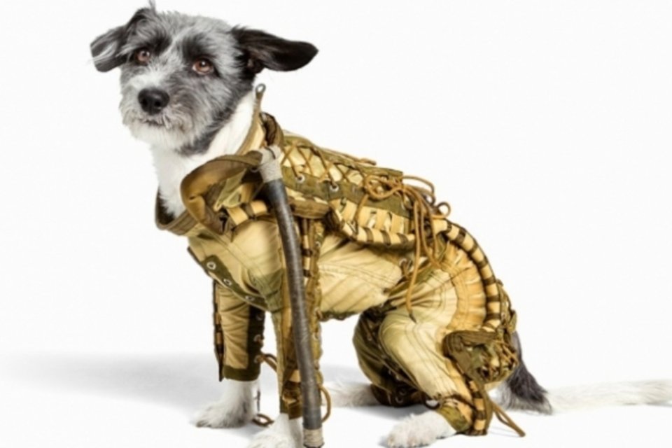 Artista alemão leiloa traje espacial para cães de 1950
