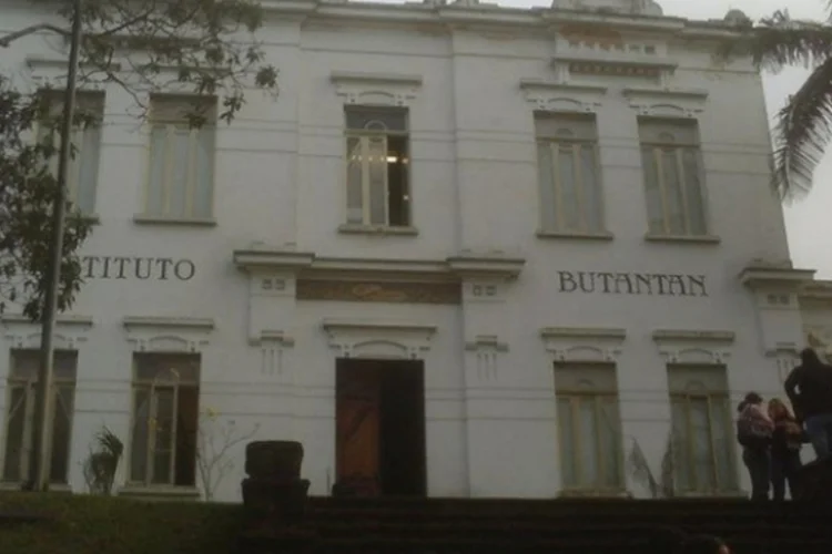 instituto  (Neighty/flickr)