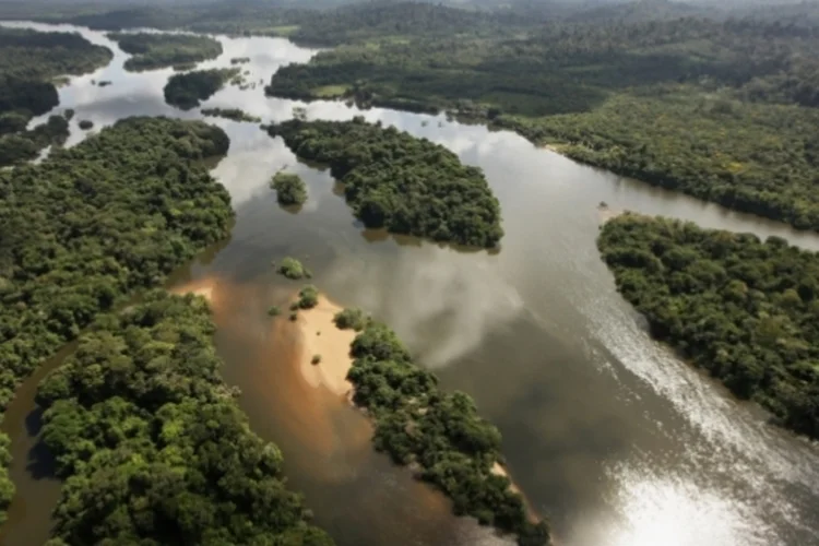 Amazônia: zerar o desmatamento ilegal na Amazônia e recuperar 12 milhões de hectares de florestas estão entre as metas brasileiras no Acordo de Paris (foto/Getty Images)