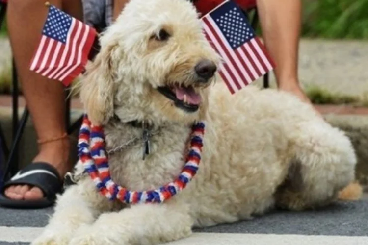 feriado da Independência (©afp.com / Mandel Ngan)