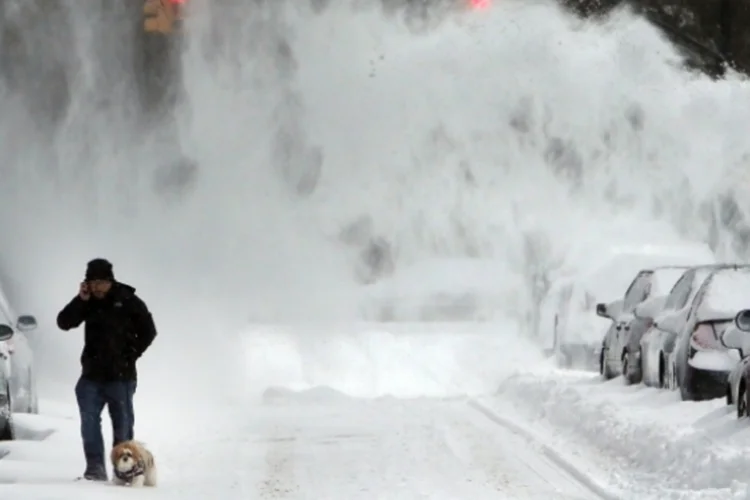neve (Getty Images)
