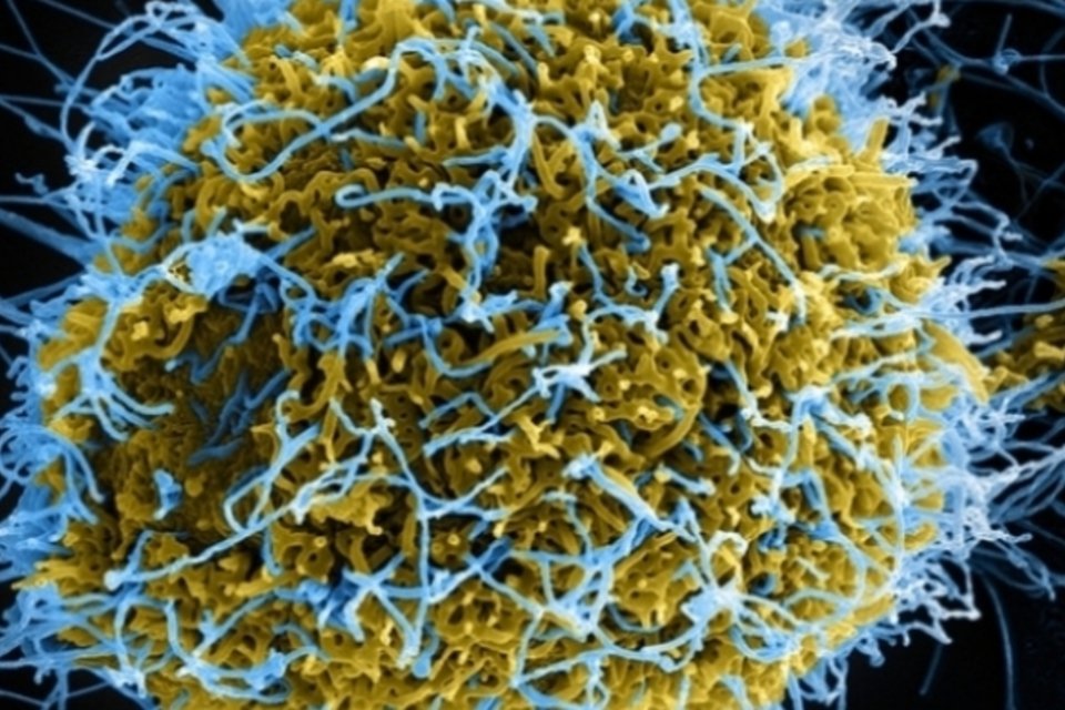 Ebola pode se espalhar como um rastilho de pólvora, alertam EUA