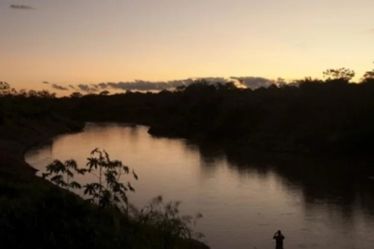 Amazônia (EFE)