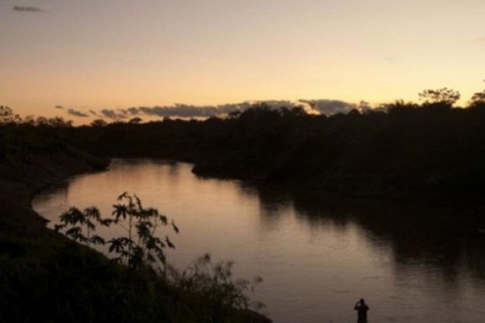 ONG vê tendência de queda no desmatamento na Amazônia