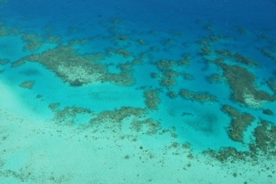 WWF diz que projetos portuários podem danificar barreira de coral australiana
