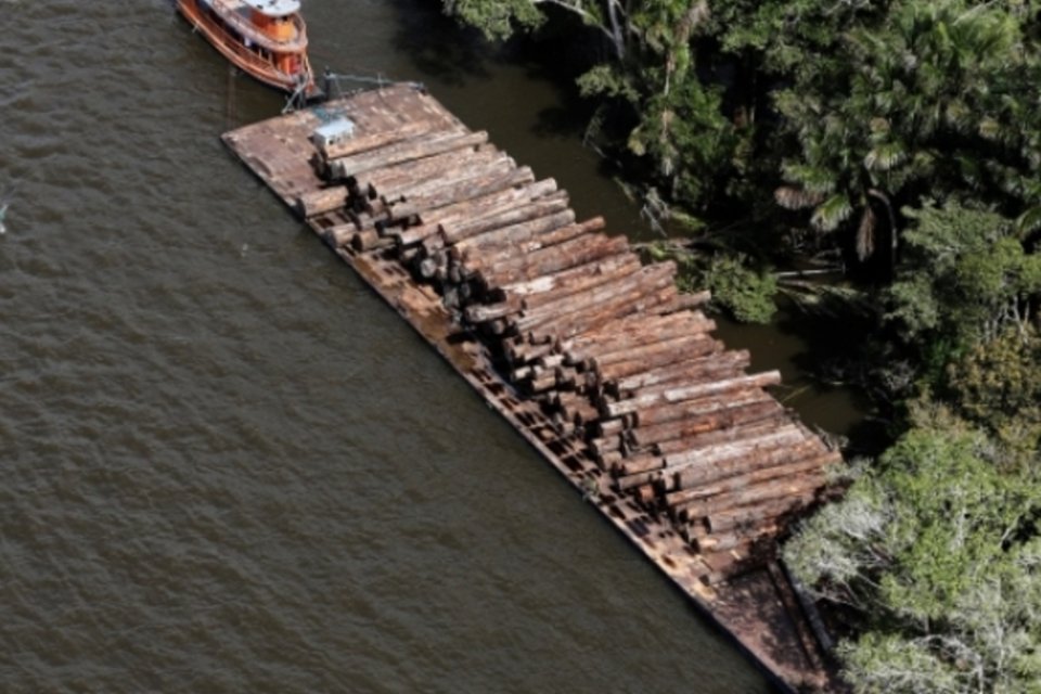 Desmatamento cresce 169% na Amazônia Legal