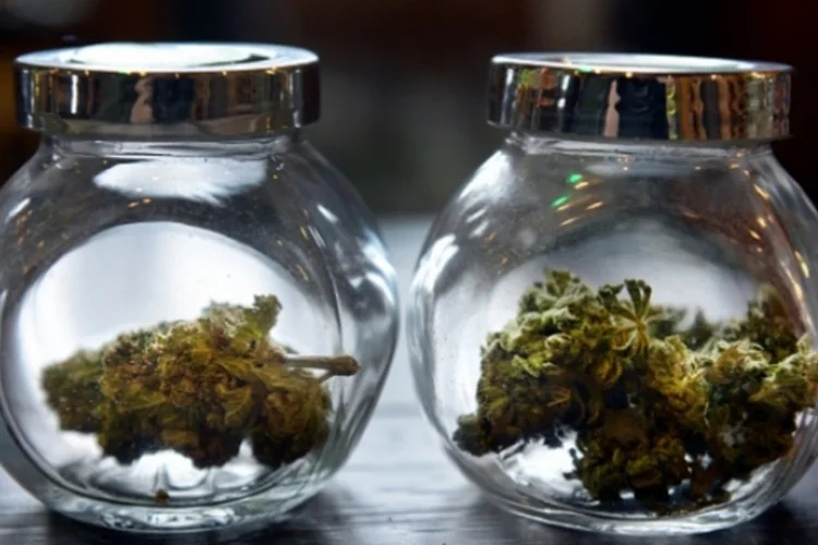 Marijuana (Getty Images)