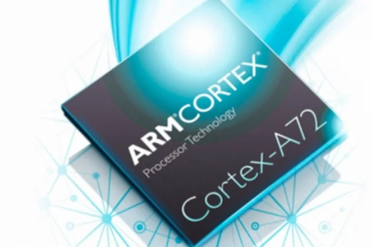 cortex (Divulgação)
