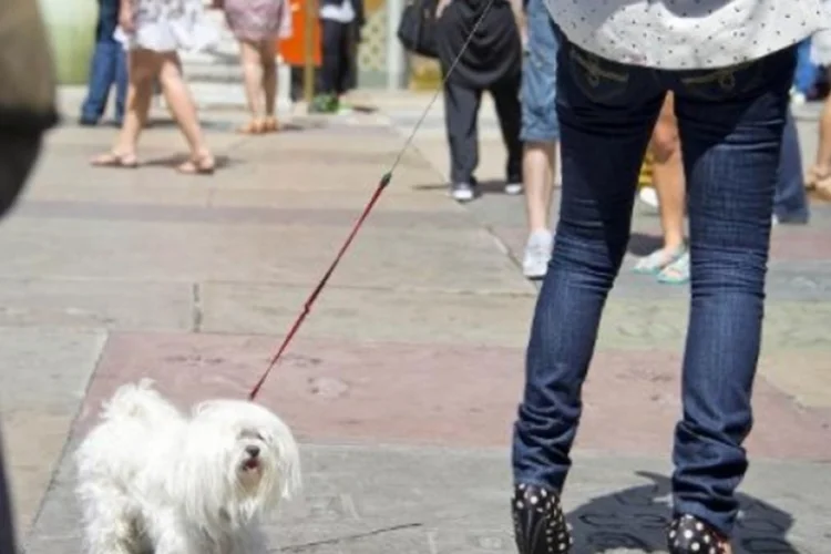 Mulher passeia com o cachorro (©afp.com / Robyn Beck)