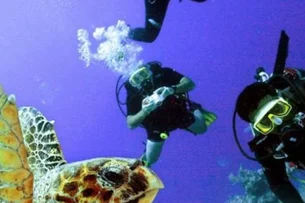 5 profissões para quem gosta de arqueologia subaquática