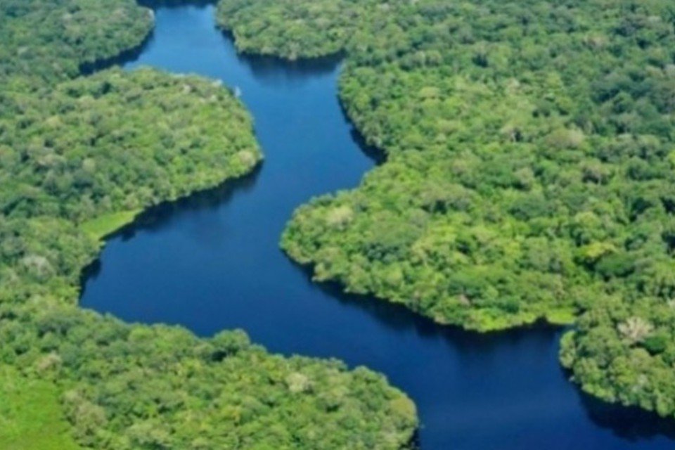 Serviço Florestal mapeia carga tributária de madeira da Amazônia