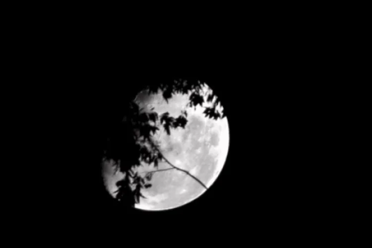 lua (Jony Cunh/flickr)