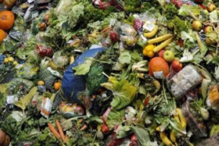 alimentos (afp.com / Jean-Christophe Verhaegen)