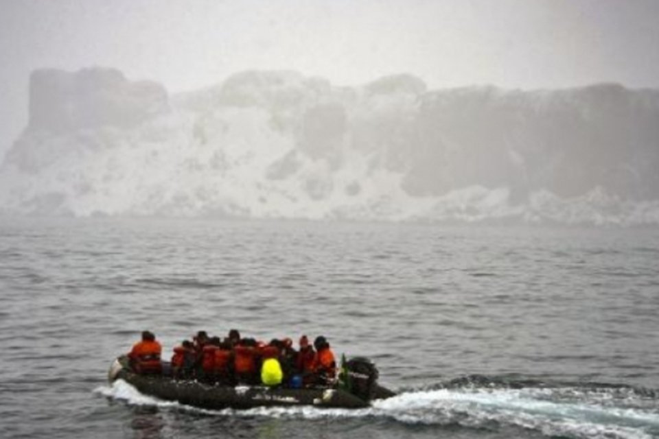 Brasileiros revelam potencial genético da biodiversidade antártica