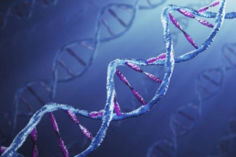 Gene XIST pode corrigir anomalia da síndrome de Down