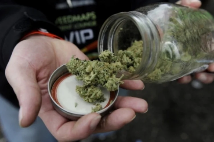 maconha (Getty Images)