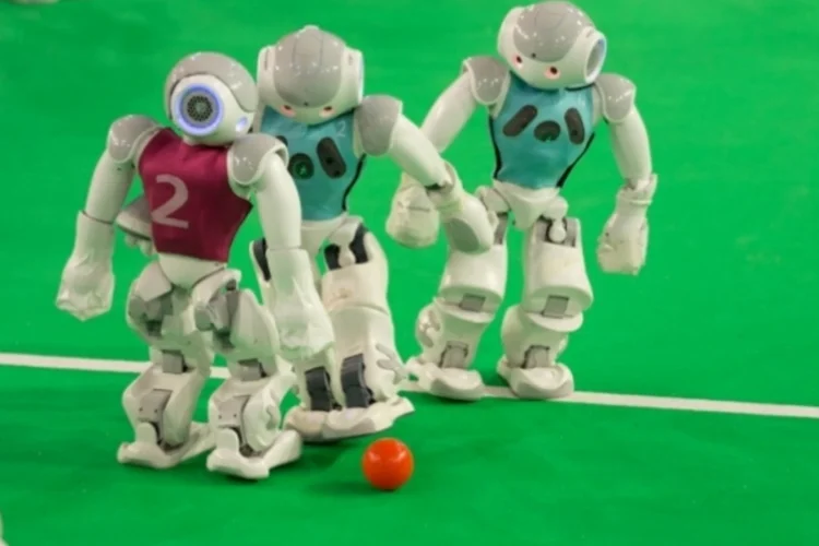 robotica (Divulgação/Valdecir Becker)