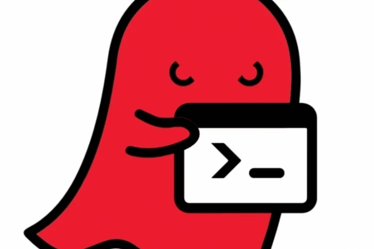 ghost (Reprodução / Qualys)