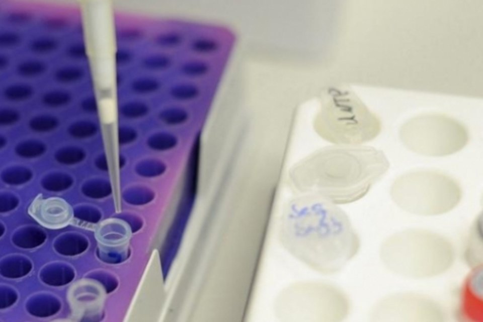 Cientistas espanhóis descobrem mutação que causa câncer de fígado