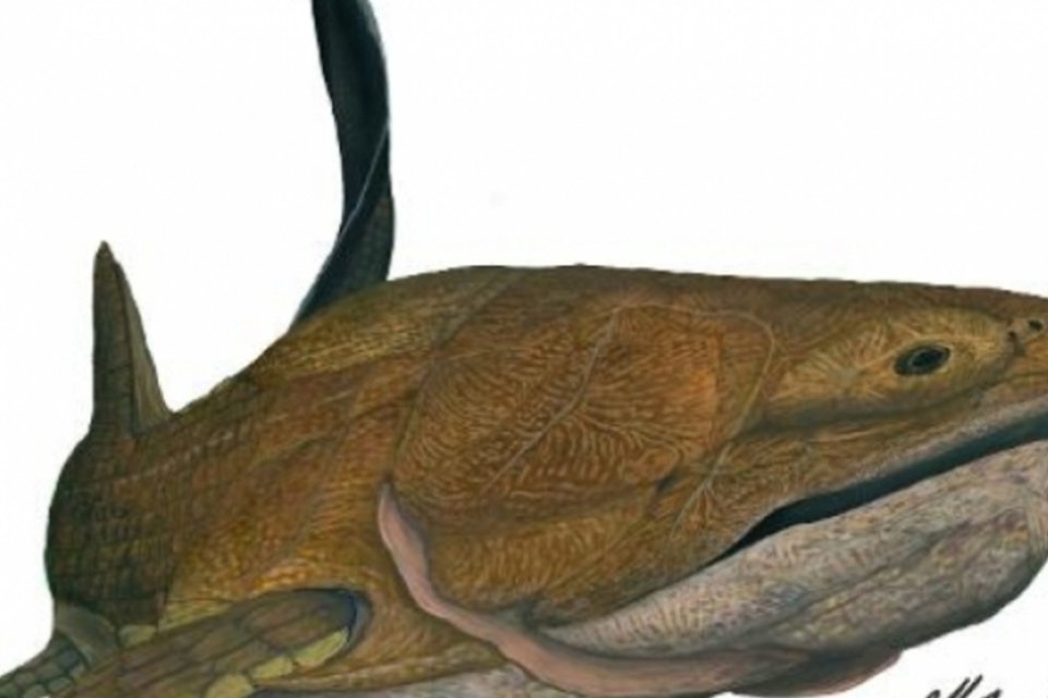 Fóssil de peixe reescreve História evolutiva do homem