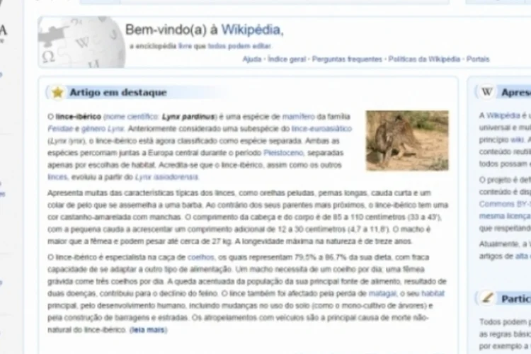 Wikipedia (Reprodução/Wikipedia)