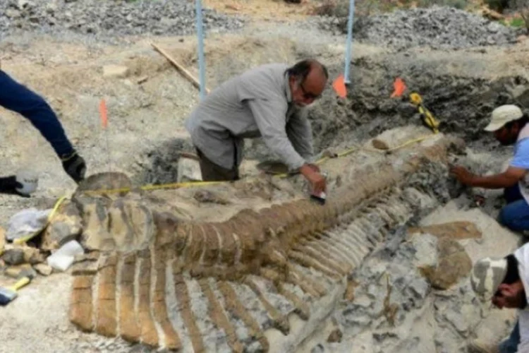 Descubra carreiras que exploram o passado da Terra e suas recompensas profissionais (REUTERS/INAH)