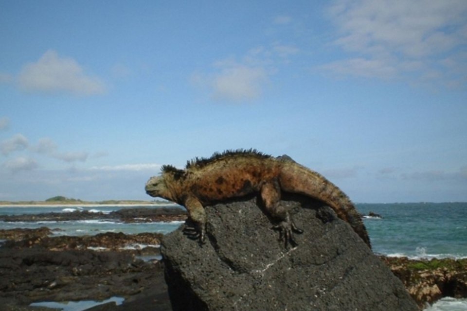 Equador declara estado de emergência ambiental nas Ilhas Galápagos