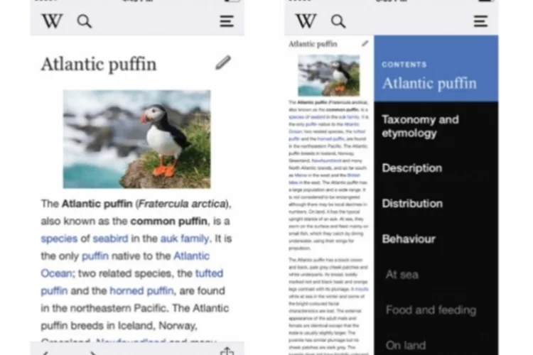App Wikipédia (Reprodução/Wikimedia Foundation)
