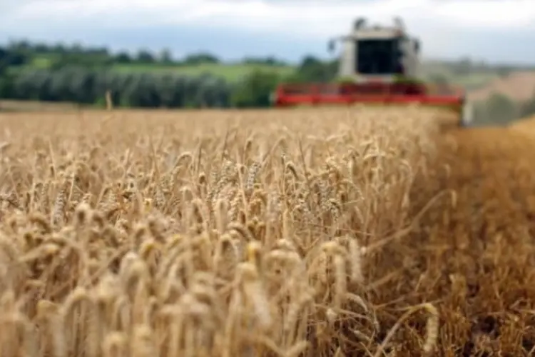 agricultura (Getty Images)