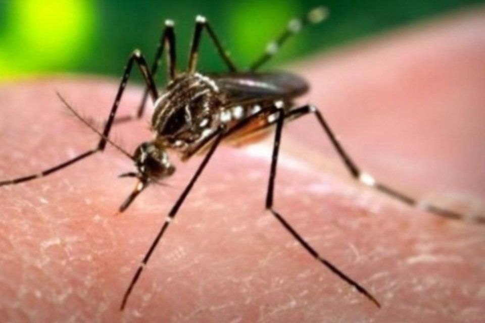 Instituto alerta para cuidado redobrado contra dengue