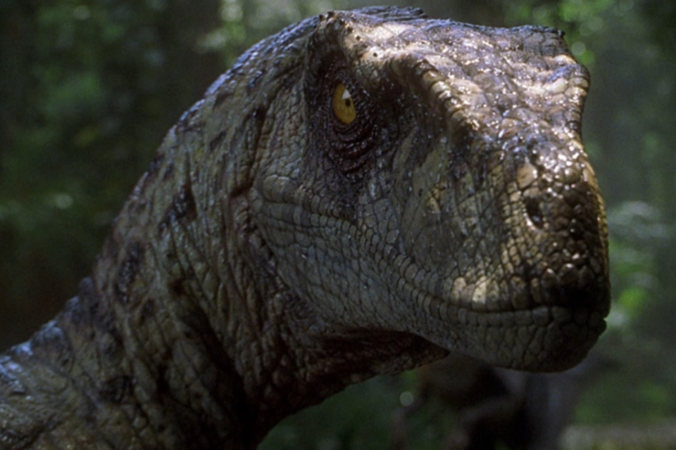Estudo aponta que dinossauros de "Jurassic Park" possuíam penas e asas